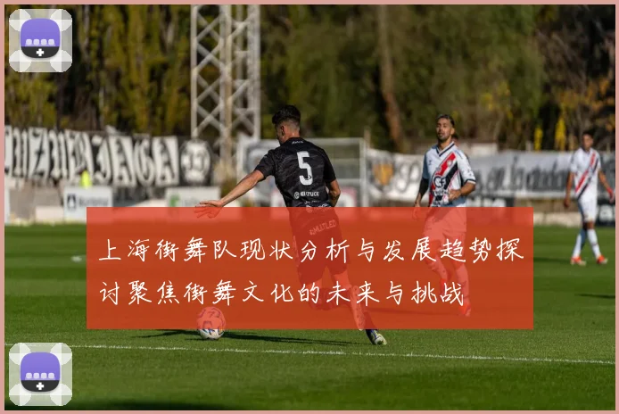 上海街舞队现状分析与发展趋势探讨聚焦街舞文化的未来与挑战