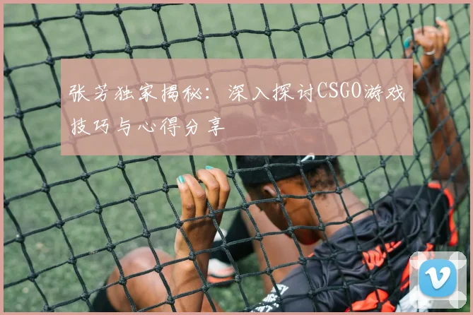 张芳独家揭秘：深入探讨CSGO游戏技巧与心得分享